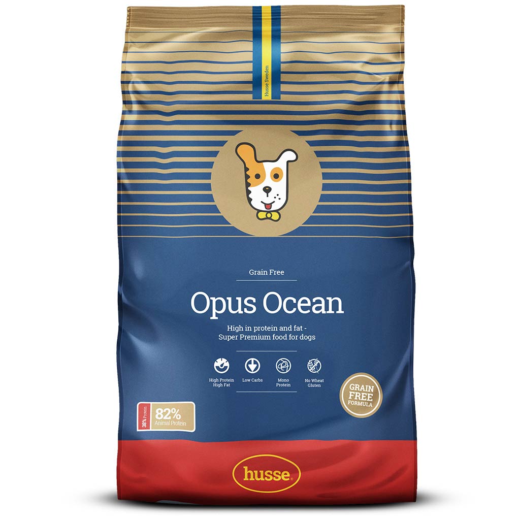 Opus Ocean